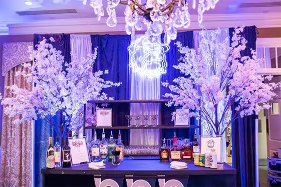 party decor rental virginia