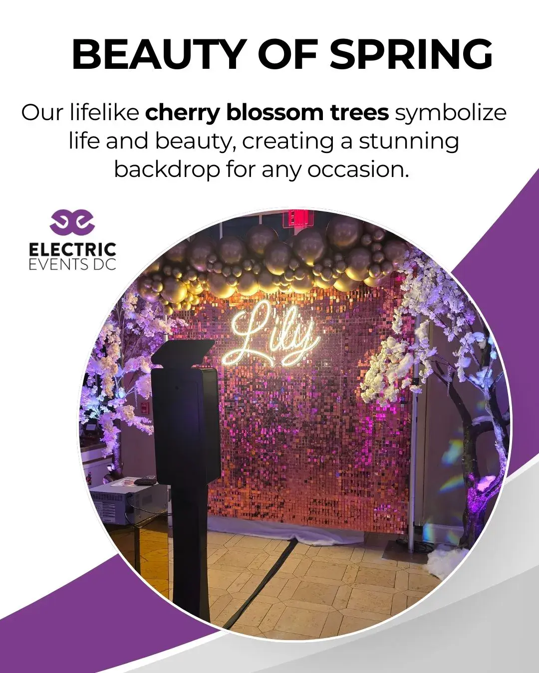 dc cherry blossom event decor